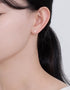 Vibrant V-Shaped Cubic Zirconia Studs in Sterling Silver